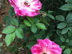 -人民公园(罗湖区)