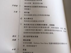 -新加坡航空公司(ION)