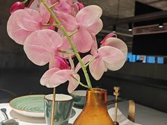 -大鸭梨烤鸭(望京店)
