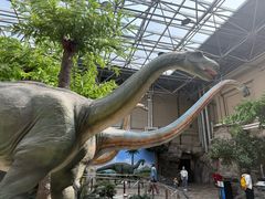 -国家自然博物馆