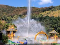 -西双版纳原始森林公园