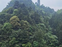 -娄山关景区
