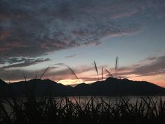-北岐滩涂