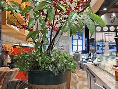 -深圳龙华星河COCO City(民治店)