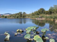 -永定河休闲森林公园