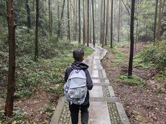 -凤栖山