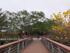 -立新湖公园