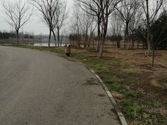 -东郊湿地公园