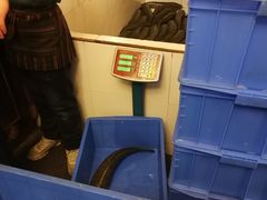 -龙继斑鱼庄(犀浦店)