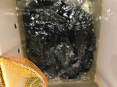 -重庆鸡公煲·青锅花椒鱼(牡丹江路店)