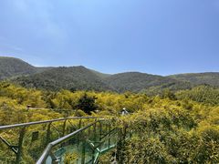 -陶祖圣境风景区