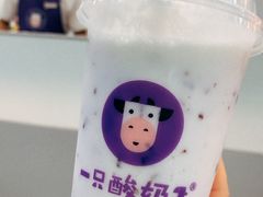 -一只酸奶牛(八一路店)