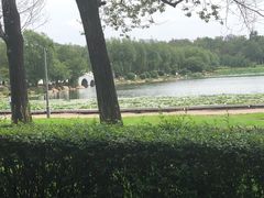 -长春市南湖公园