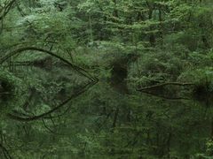 -夏津德百度假村温泉