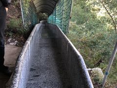 -鸡鸣山旅游风景区