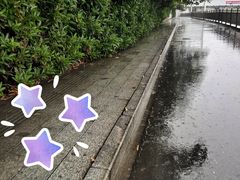 -杭州龙禧福朋喜来登酒店