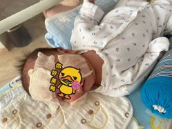 -海豚湾高端月子会所(黄浦店)