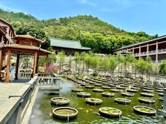 -石峰岩寺