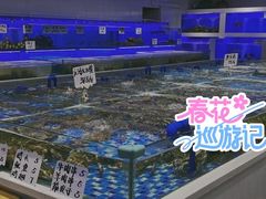 -小海丁