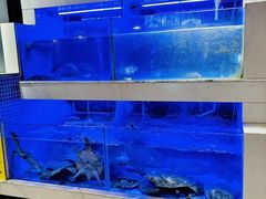 -王捌小院(红花坡店)