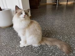 -克比叔叔印度餐厅Kebabs on the Grille(永康路分店)