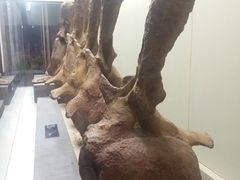 -世界恐龙谷景区