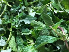 -黔府豆米火锅野菜馆(南马店)