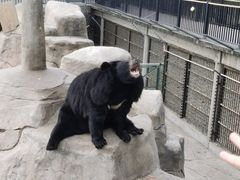 -石家庄市动物园