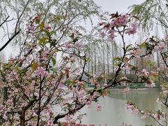 -黄兴公园
