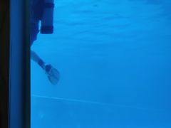 -上海潜殿潜水中心