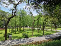 -晓港公园
