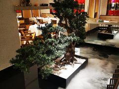 大堂-十二粤味·顺德菜·烧鹅点心(五四广场店)