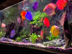 -上海海洋水族馆