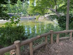 -井之头恩赐公园