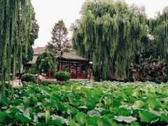 -莲池书院博物馆