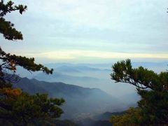 -王顺山国家森林公园