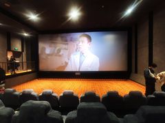 -华美国际影城(旧宫永辉店)