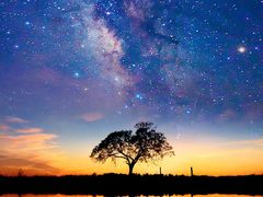 -山东水饺(南坪新街店)