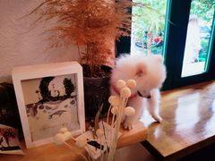 -The Good Place好地方·Brunch·coffee(国贸店)
