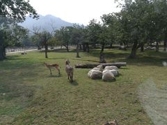 -西安秦岭野生动物园