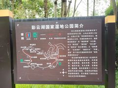 -重庆彩云湖湿地公园