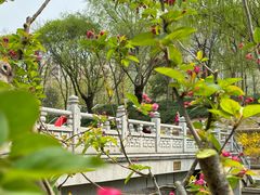 -元大都城垣遗址公园