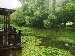 -悦禧耕岛酒店·指月坞餐厅·旺山特色农家乐