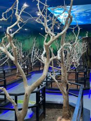 -未来动物城动物主题公园(大悦城店)