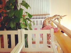 iphone_upload_pic-长颈鹿咖啡(大学路店)