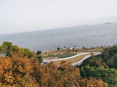 -野狸岛