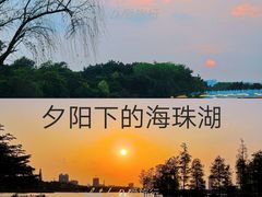 -海珠湖公园