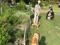 -杭州城北体育公园