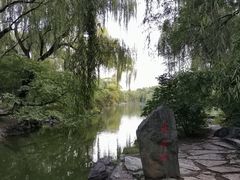 -北京大学百年讲堂