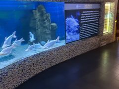 -成都浩海立方海洋公园